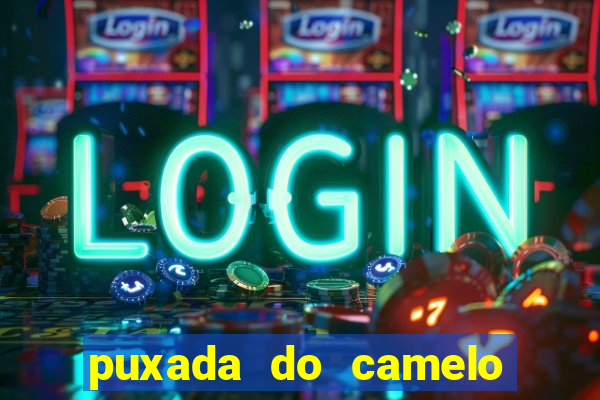 puxada do camelo jogo do bicho